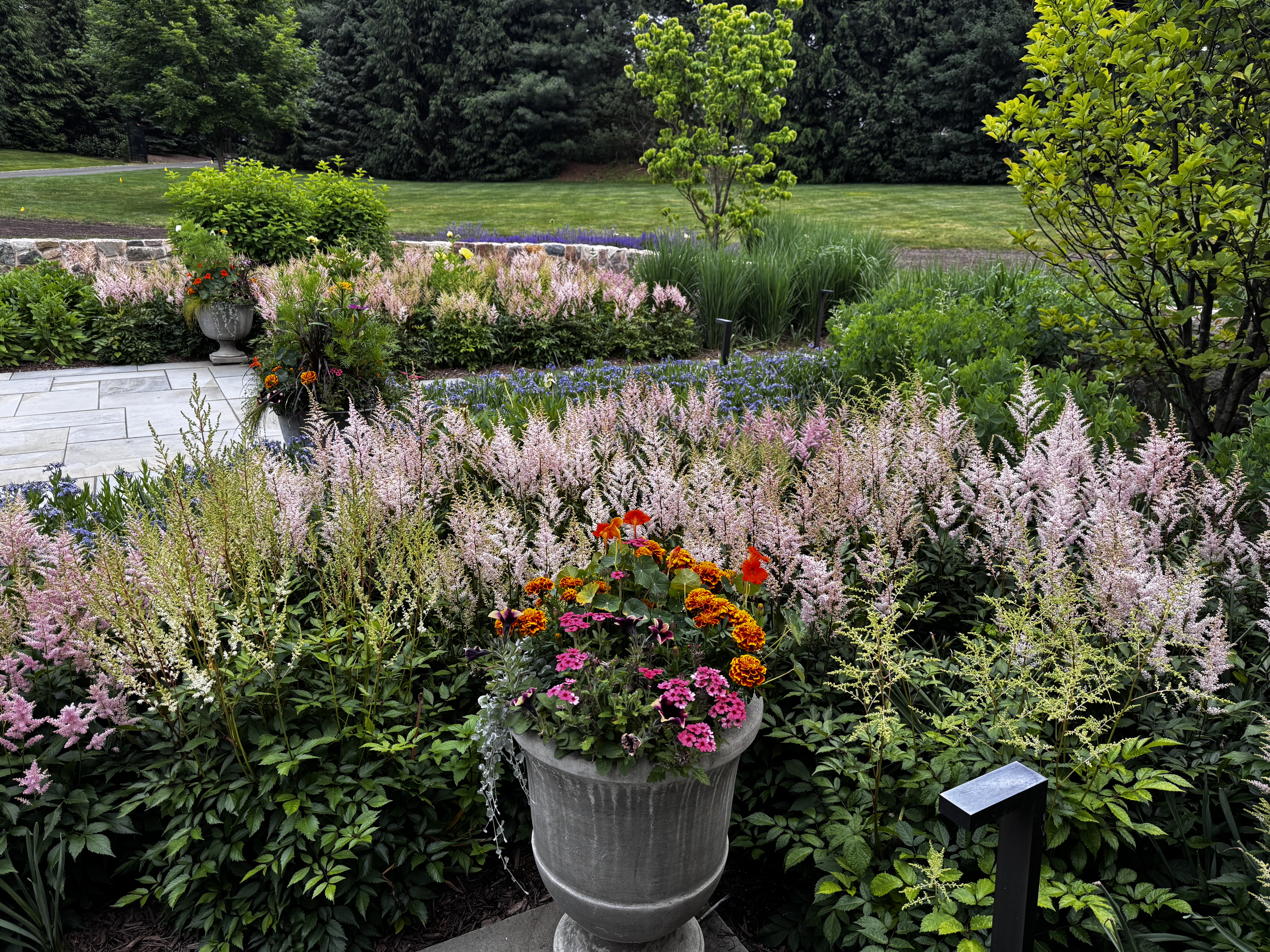 Home photo 3