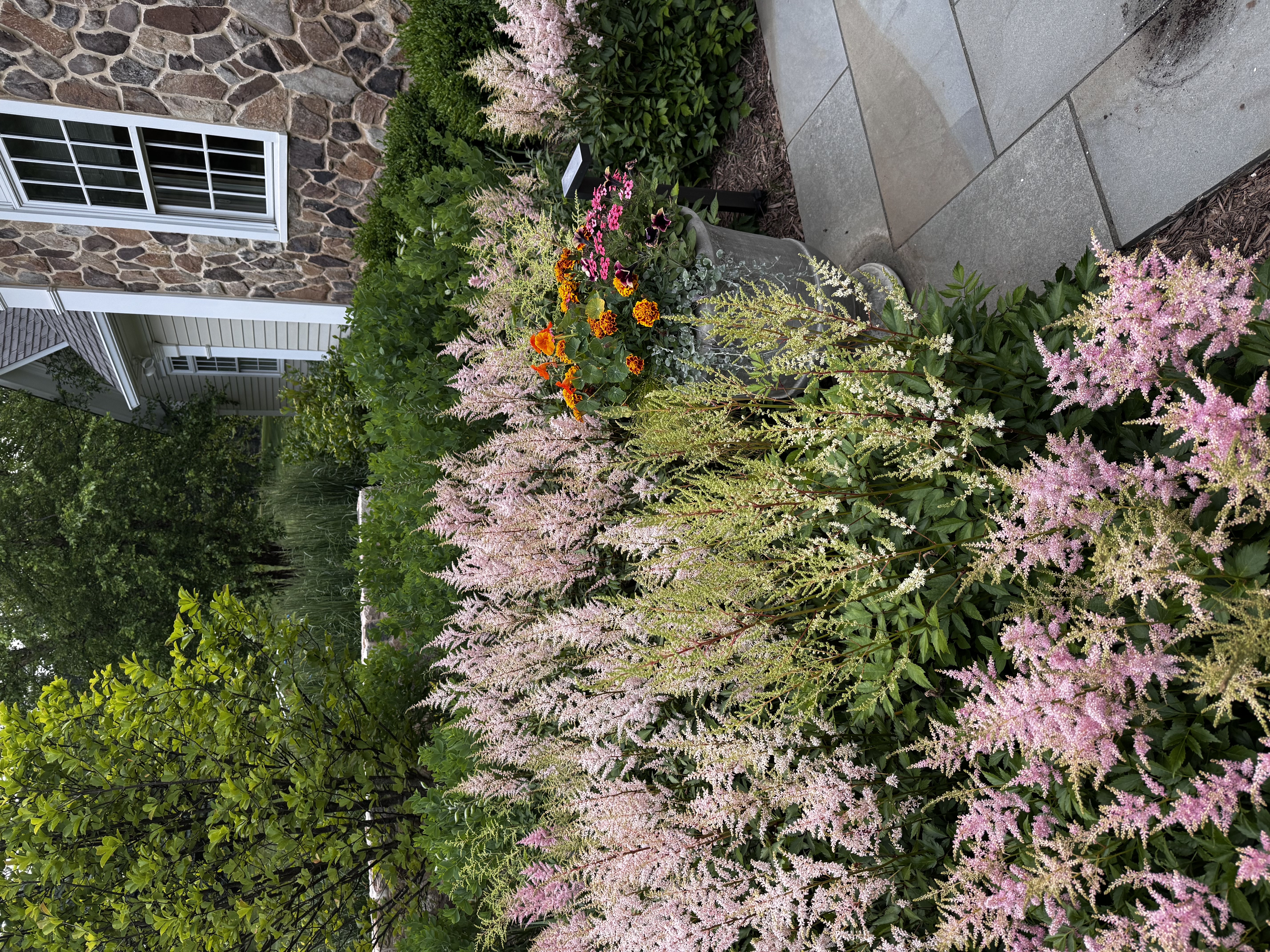 Home photo 4