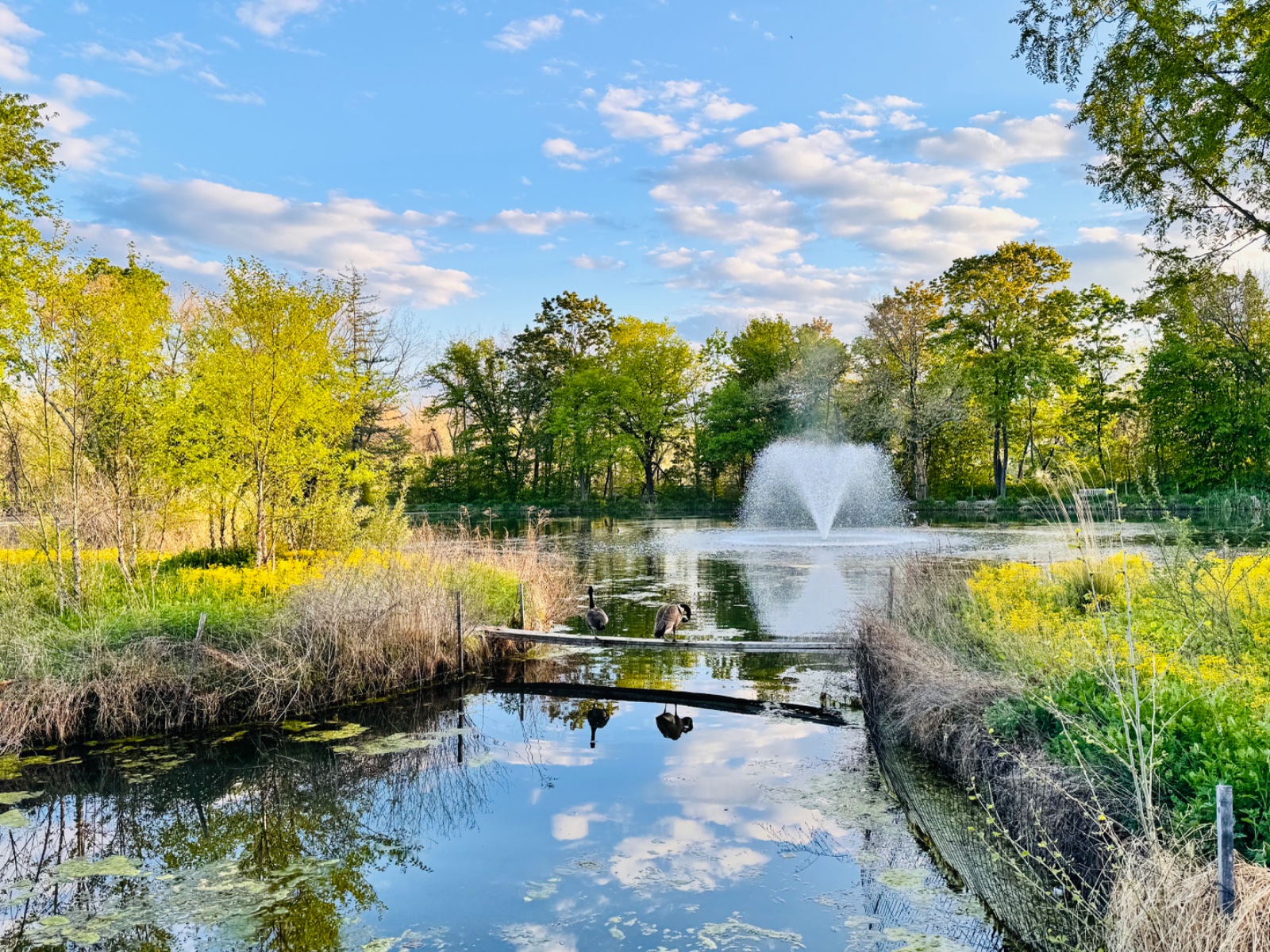 Peapack